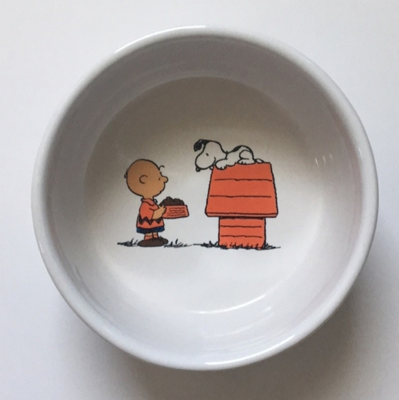 Peanuts Dog Peanuts Snoopy Dont To Feed The Dog Bowl Poshmark